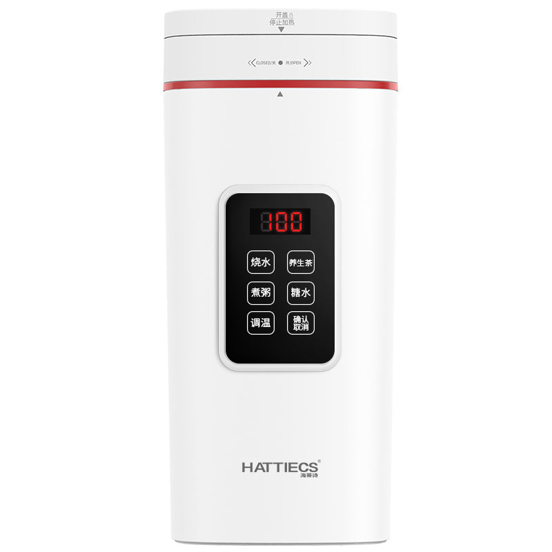Electric Mini Portable Heating Kettle