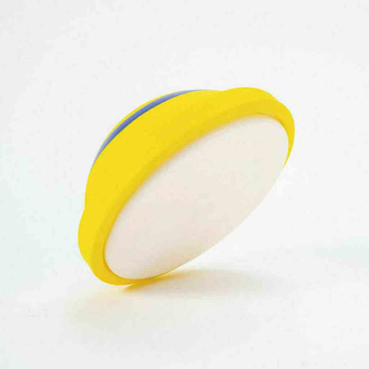 Indoor Woof Glider Sounding Pet Dog Disc