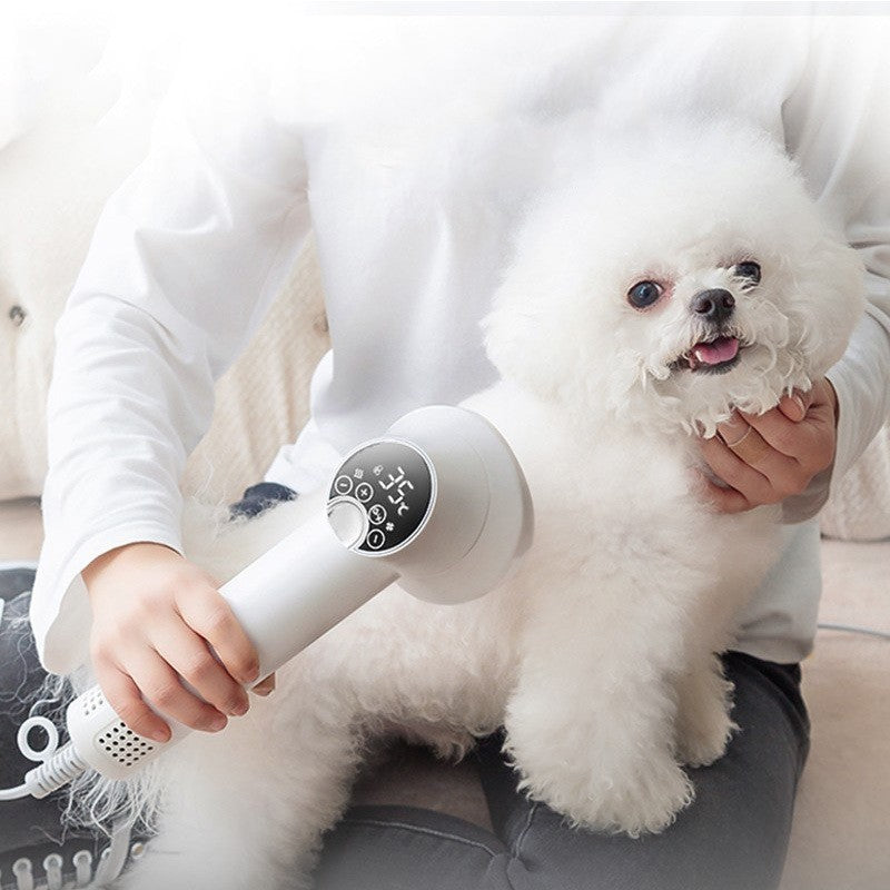 Smart Pet Dog Golden Retriever Hair Dryer
