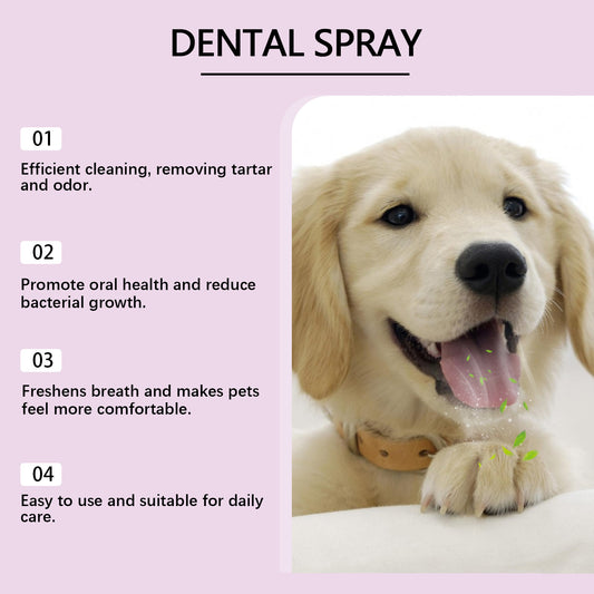 Pet Teeth Clean Mouth Spray Care