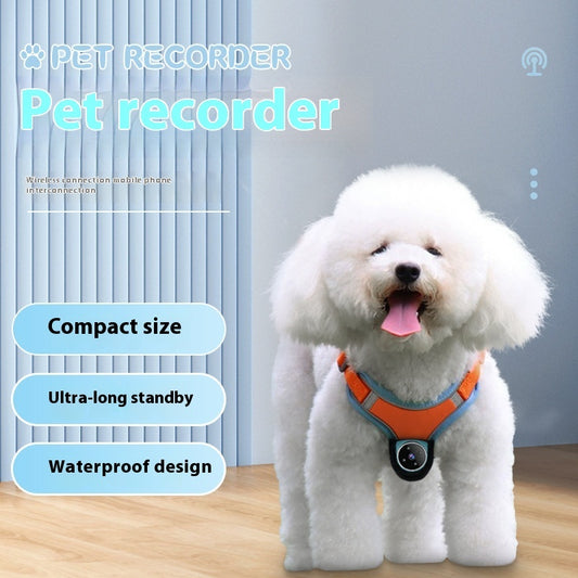 Pet Camera Recording Tracker Collar