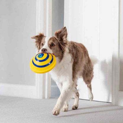 Indoor Woof Glider Sounding Pet Dog Disc