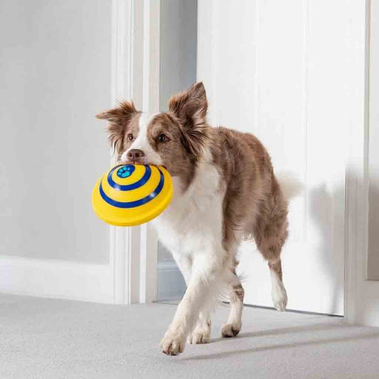 Indoor Woof Glider Sounding Pet Dog Disc