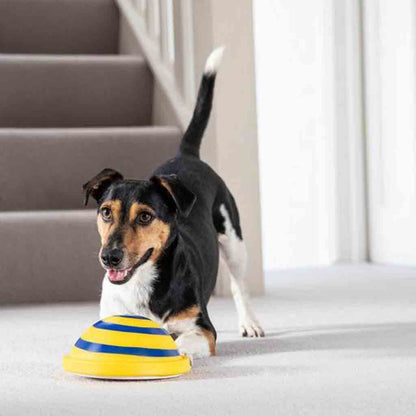 Indoor Woof Glider Sounding Pet Dog Disc