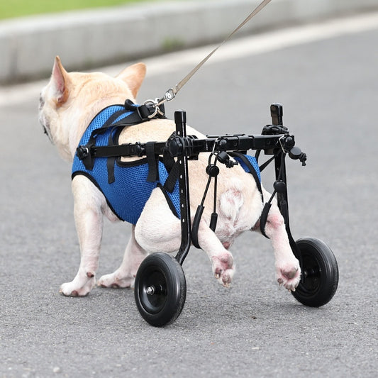 Disabled Pet Dog Wheelchair Scooter - PawFi
