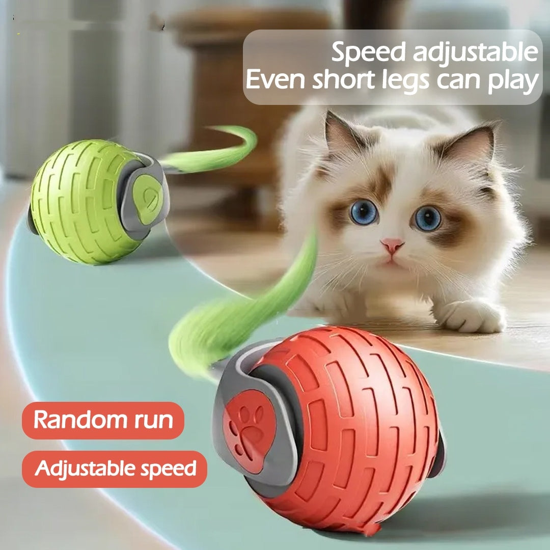 Interactive Electric Auto Rolling Ball Toys - PawFi