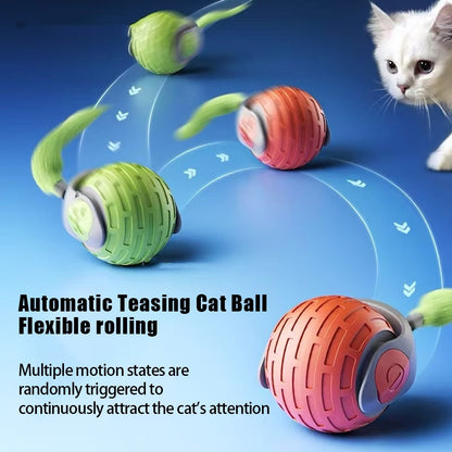 Interactive Electric Auto Rolling Ball Toys - PawFi