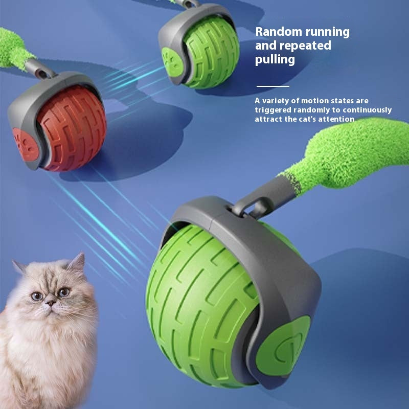 Interactive Electric Auto Rolling Ball Toys - PawFi