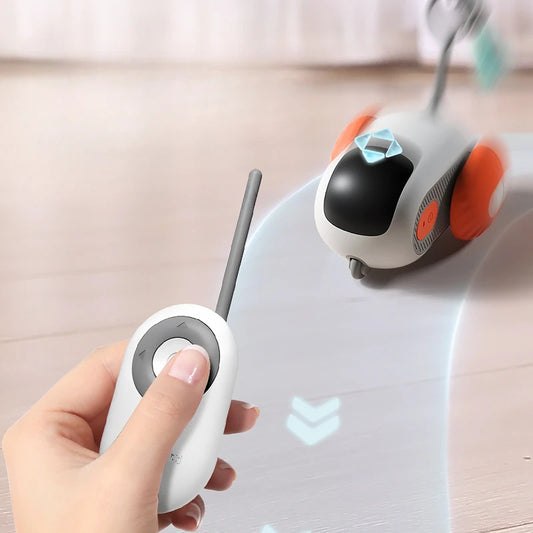 Interactive Automatic Self-moving RC Car Toy