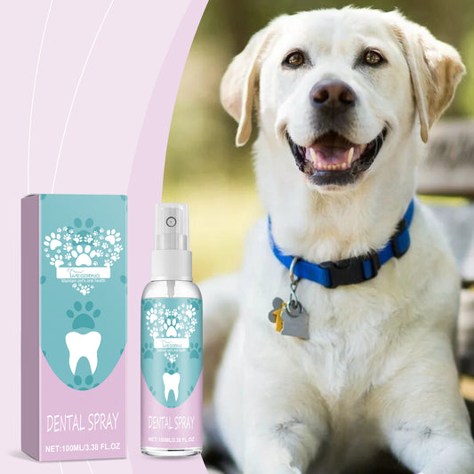 Pet Teeth Clean Mouth Spray Care